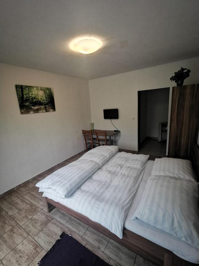 Apartmany Pod Landstejnem Stare Mesto  外观 照片